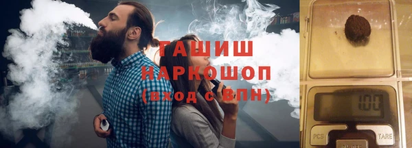 гидра Алексеевка
