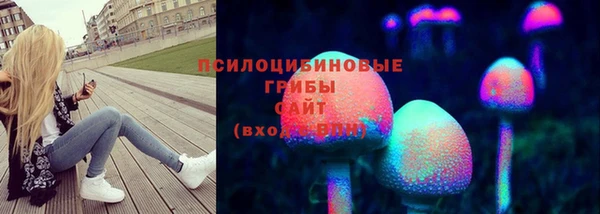 гидра Алексеевка