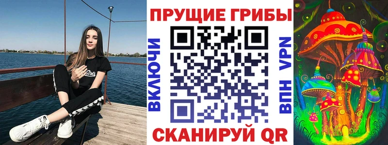 Псилоцибиновые грибы ЛСД продажа наркотиков маркетплейс как зайти Сольвычегодск